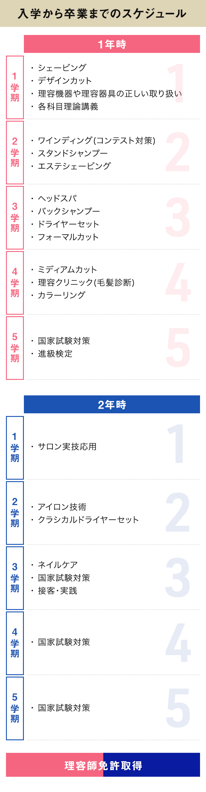 入学から卒業までのスケジュール